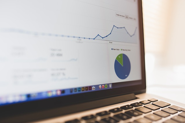 SEO: Sichtbarkeit wächst